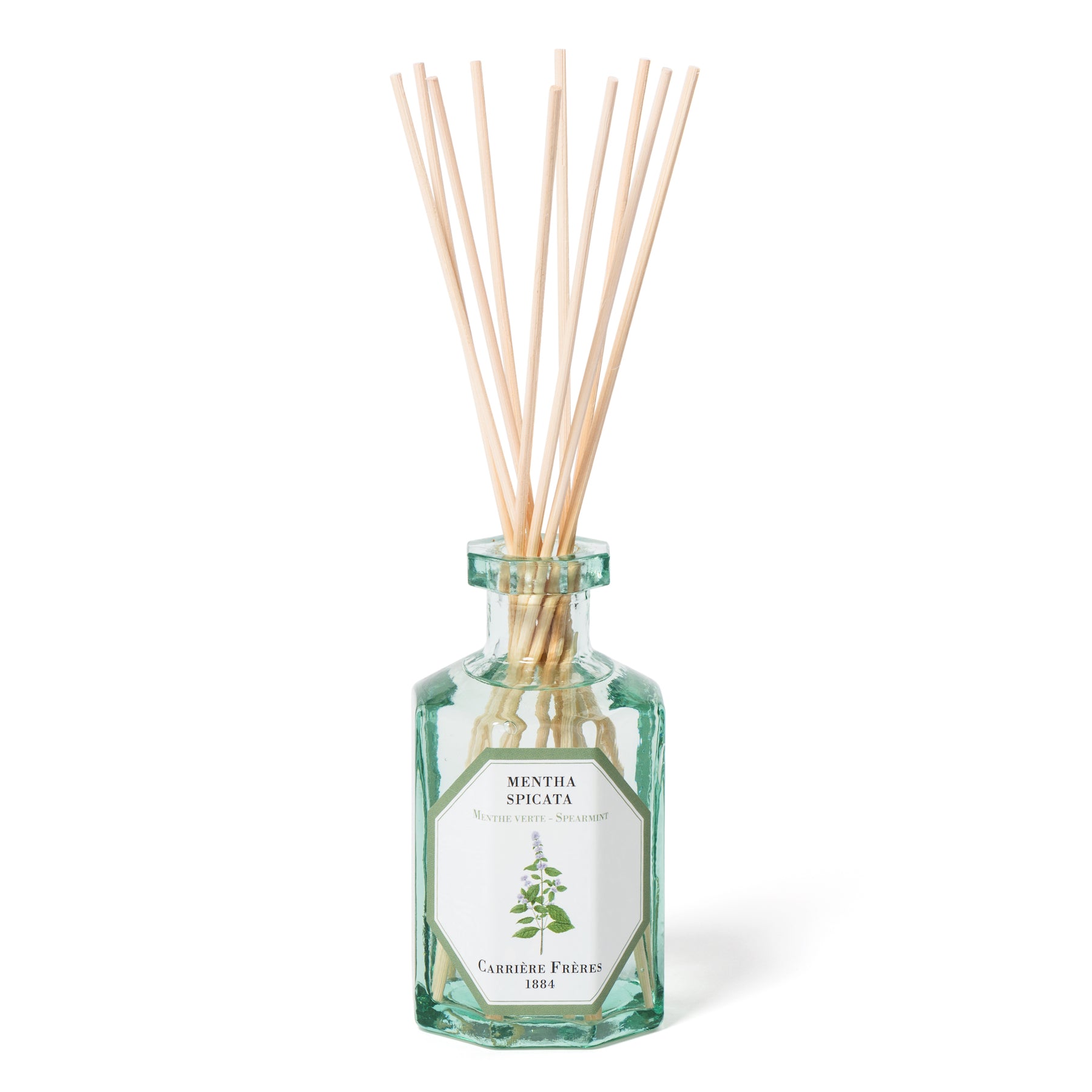 Spearmint Diffuser by at The Little Dispensary Specialist Pharmacy