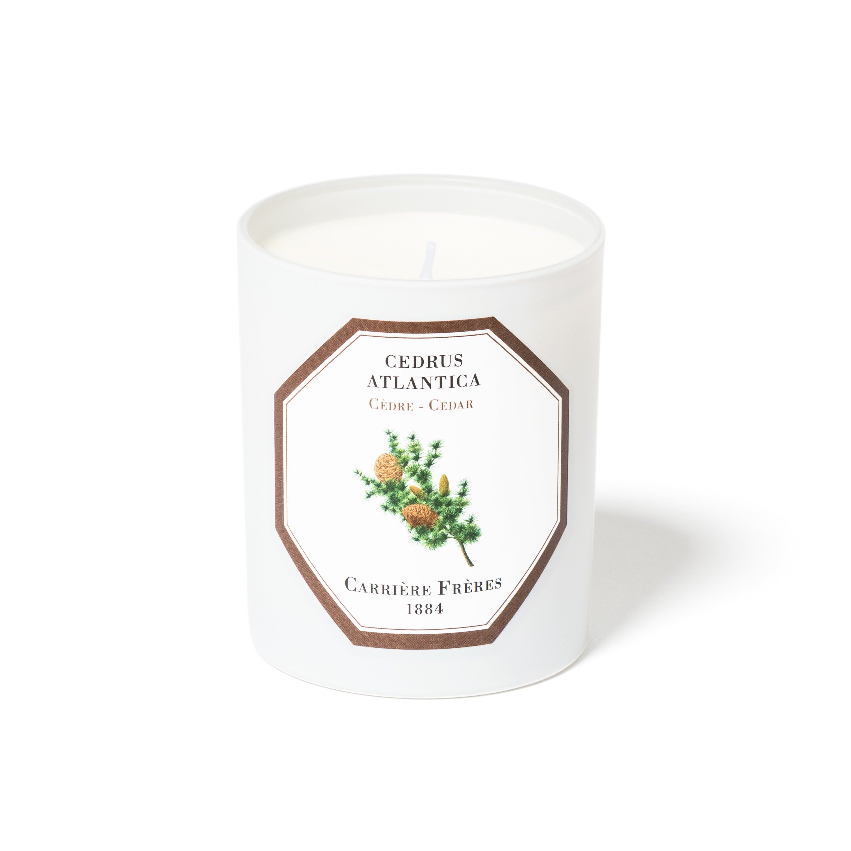 Cedar Candle by at The Little Dispensary Specialist Pharmacy