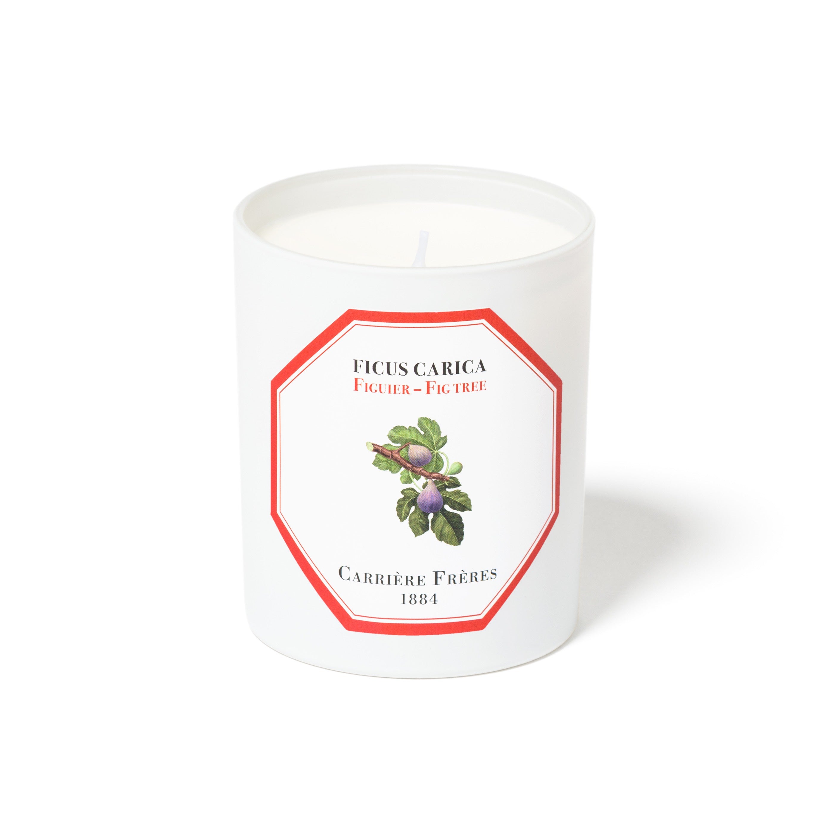 Fig Tree Candle by at The Little Dispensary Specialist Pharmacy