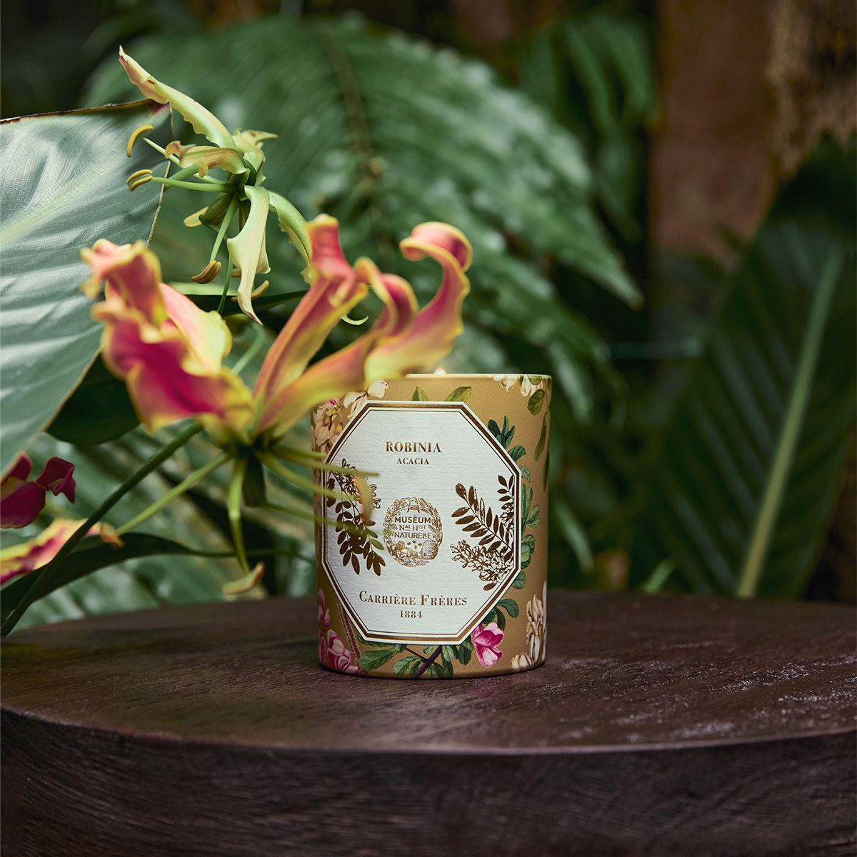 Acacia Candle by at The Little Dispensary Specialist Pharmacy