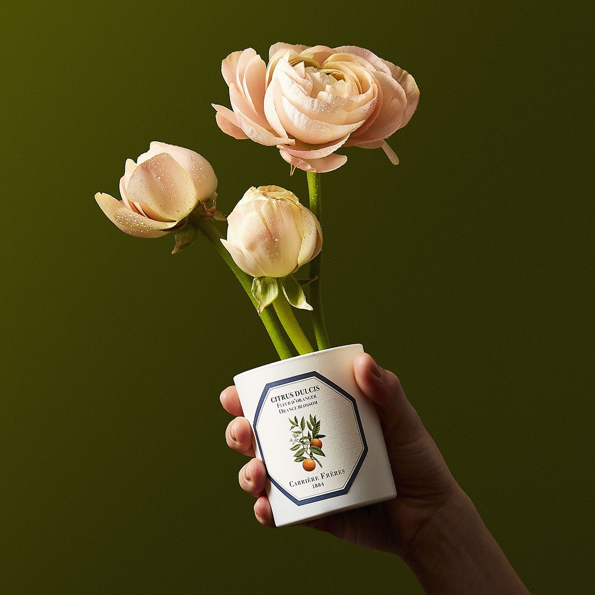 Orange Blossom Candle by at The Little Dispensary Specialist Pharmacy