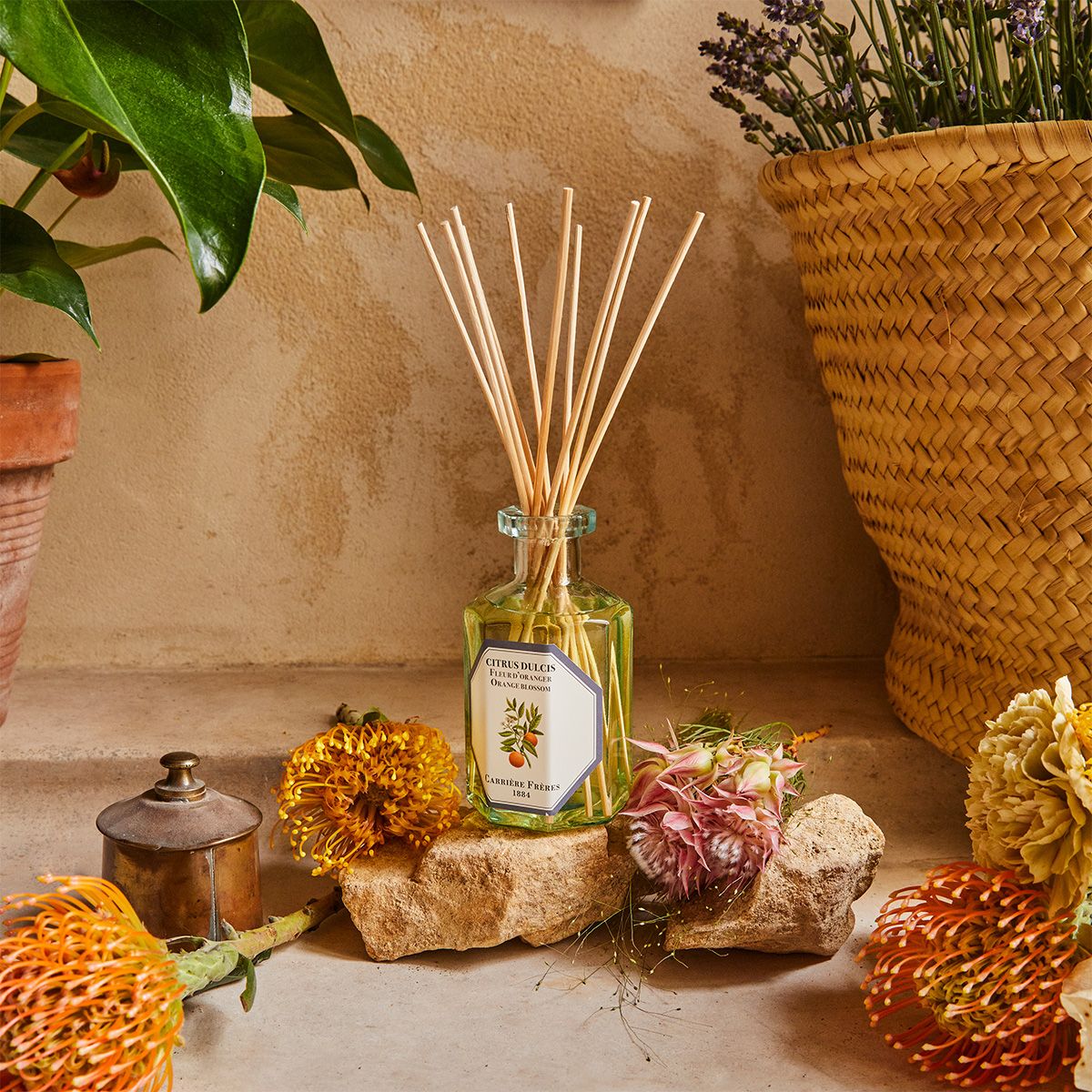 Orange Blossom Diffuser by at The Little Dispensary Specialist Pharmacy