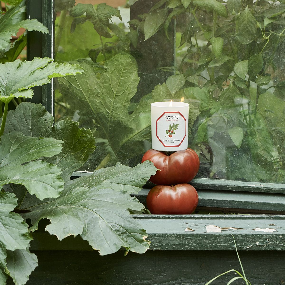 Tomato Candle by at The Little Dispensary Specialist Pharmacy