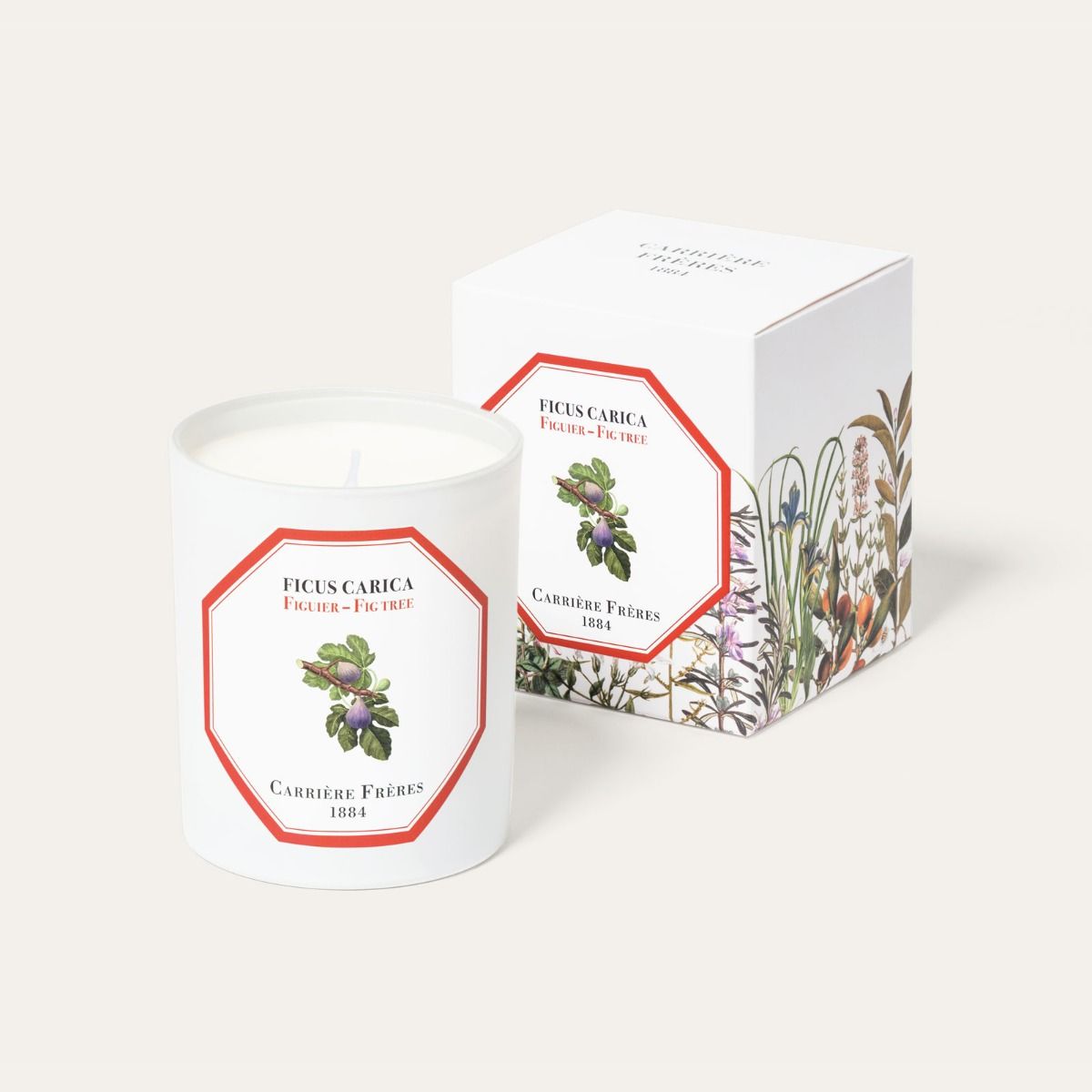 Fig Tree Candle by at The Little Dispensary Specialist Pharmacy