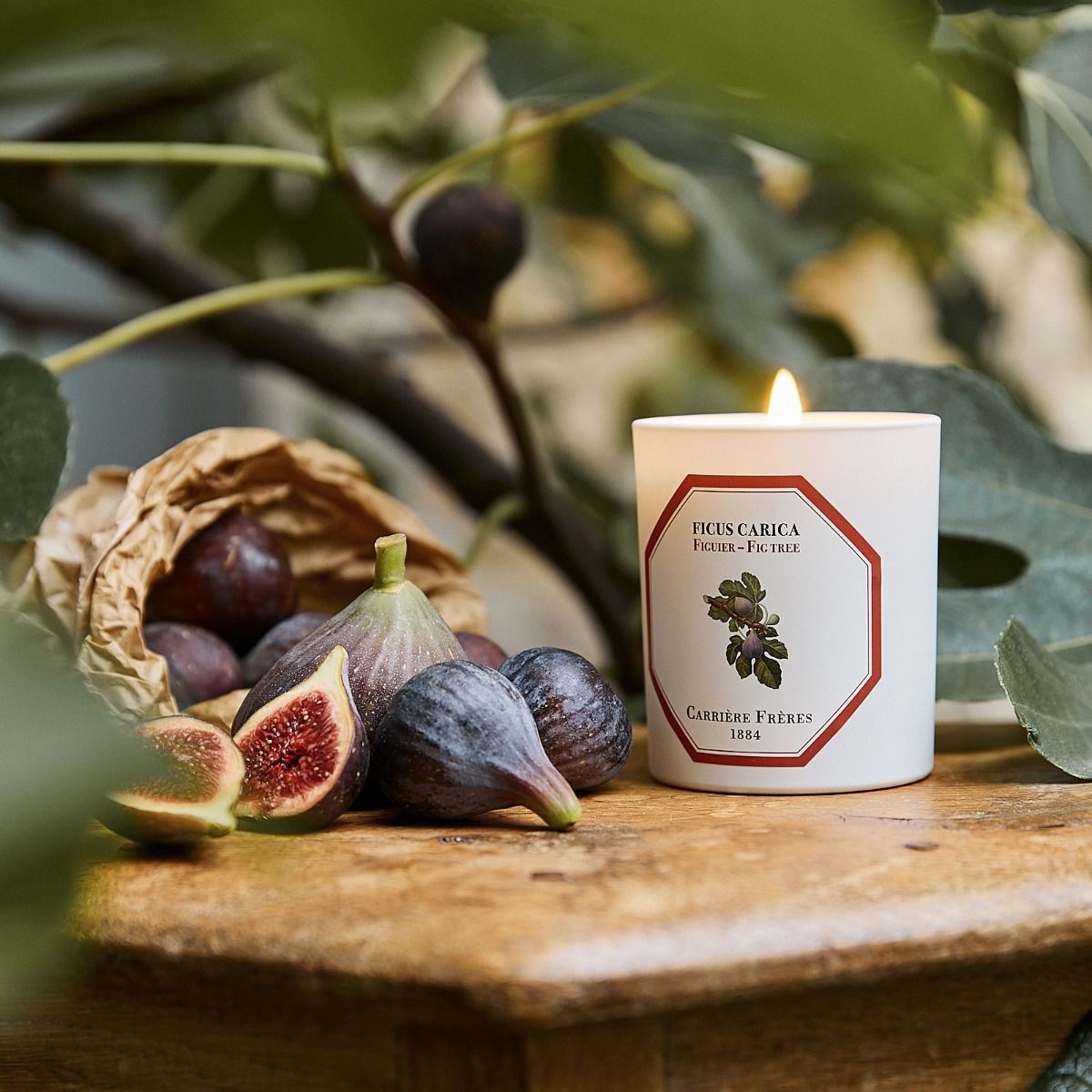 Fig Tree Candle by at The Little Dispensary Specialist Pharmacy