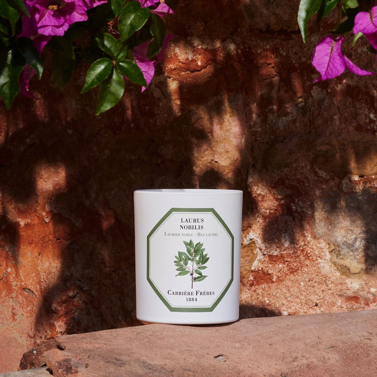 Bay Laurel Candle by at The Little Dispensary Specialist Pharmacy