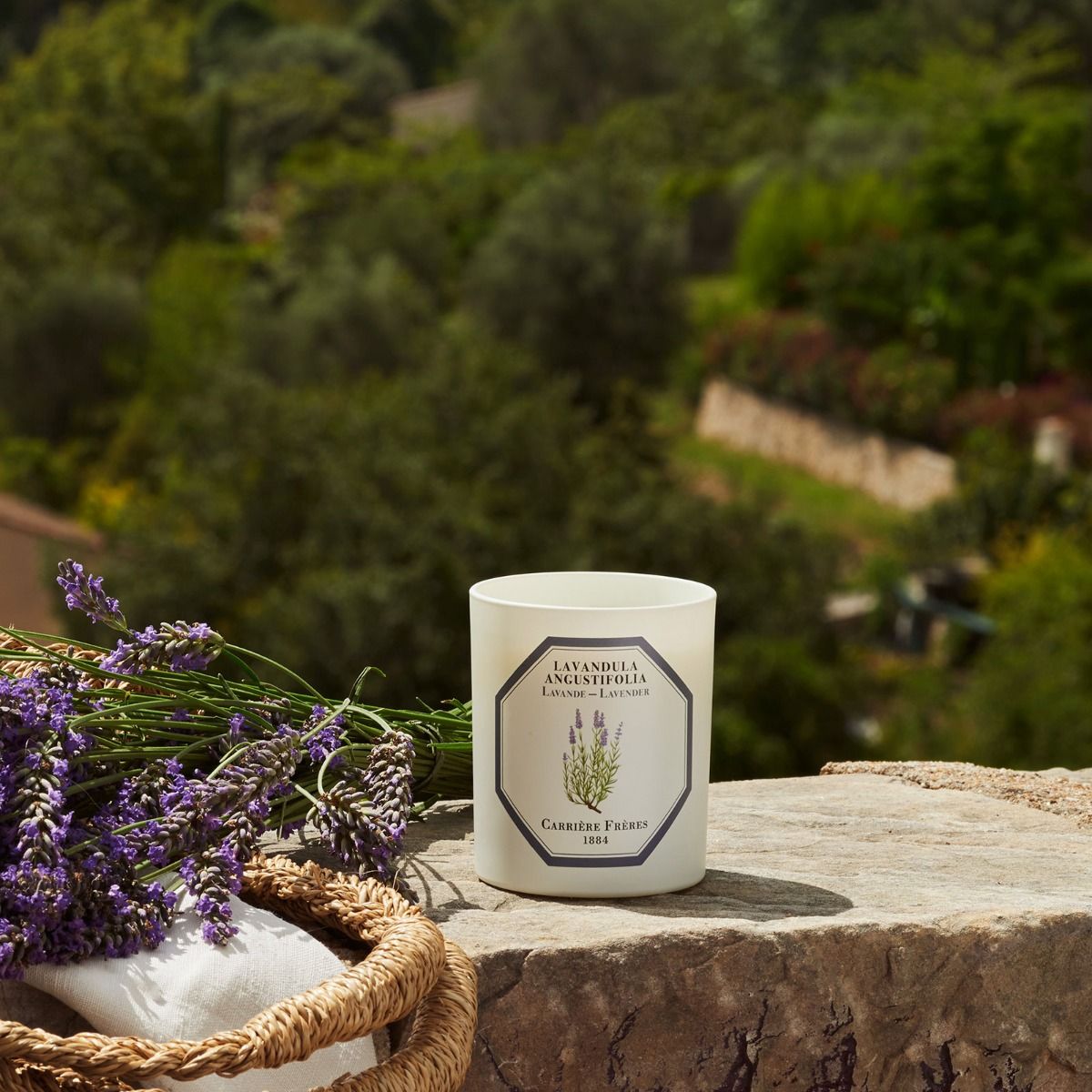 Lavender Candle by at The Little Dispensary Specialist Pharmacy
