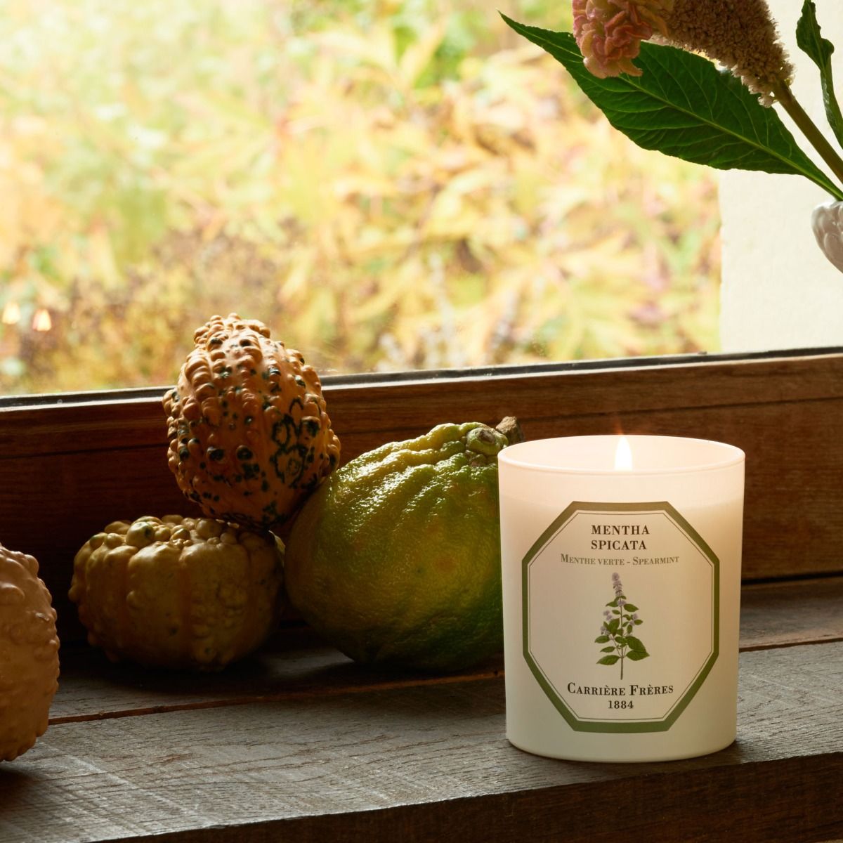 Spearmint Candle by at The Little Dispensary Specialist Pharmacy