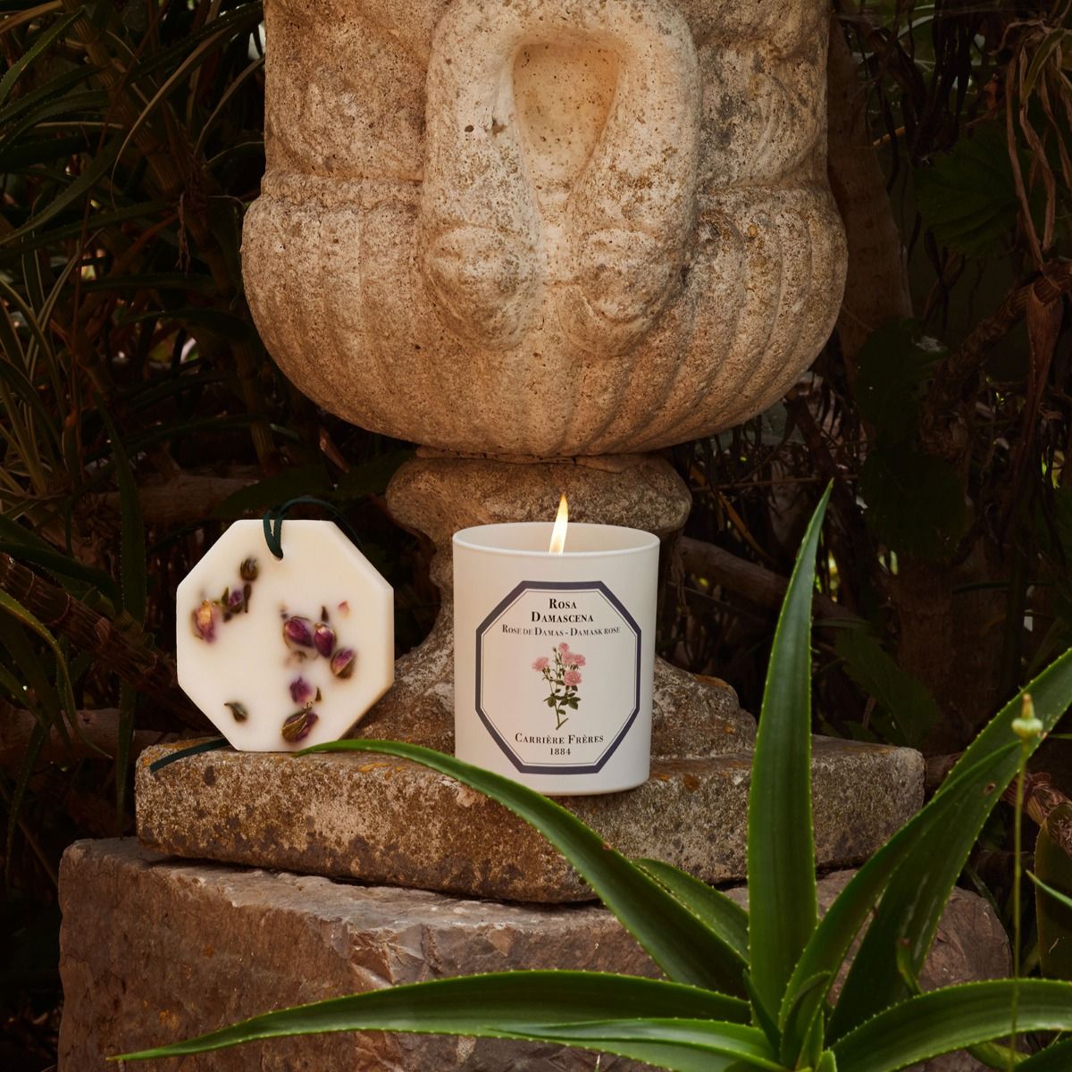 Damask Rose Candle by at The Little Dispensary Specialist Pharmacy