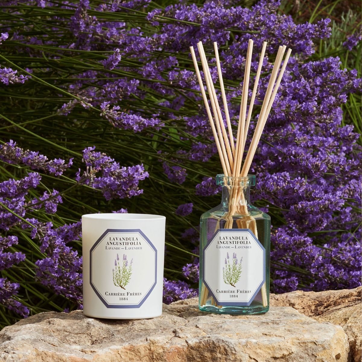 Lavender Diffuser by at The Little Dispensary Specialist Pharmacy