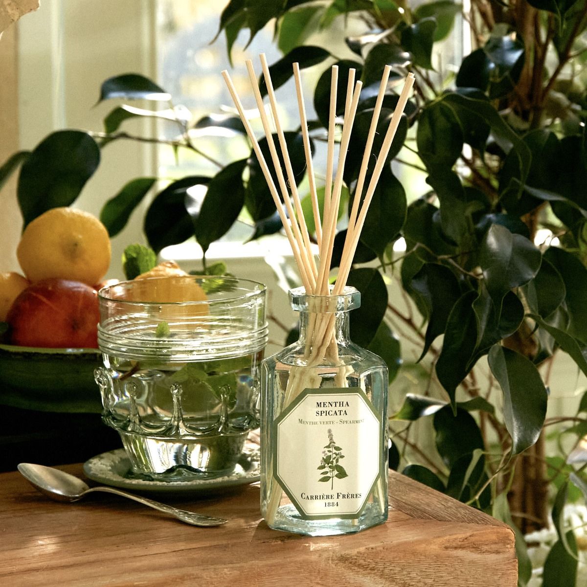 Spearmint Diffuser by at The Little Dispensary Specialist Pharmacy