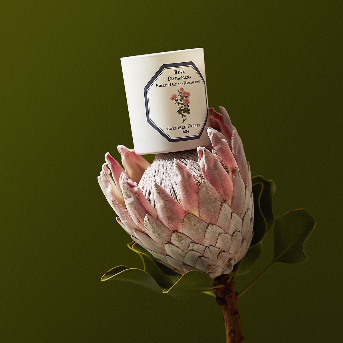 Damask Rose Candle by at The Little Dispensary Specialist Pharmacy