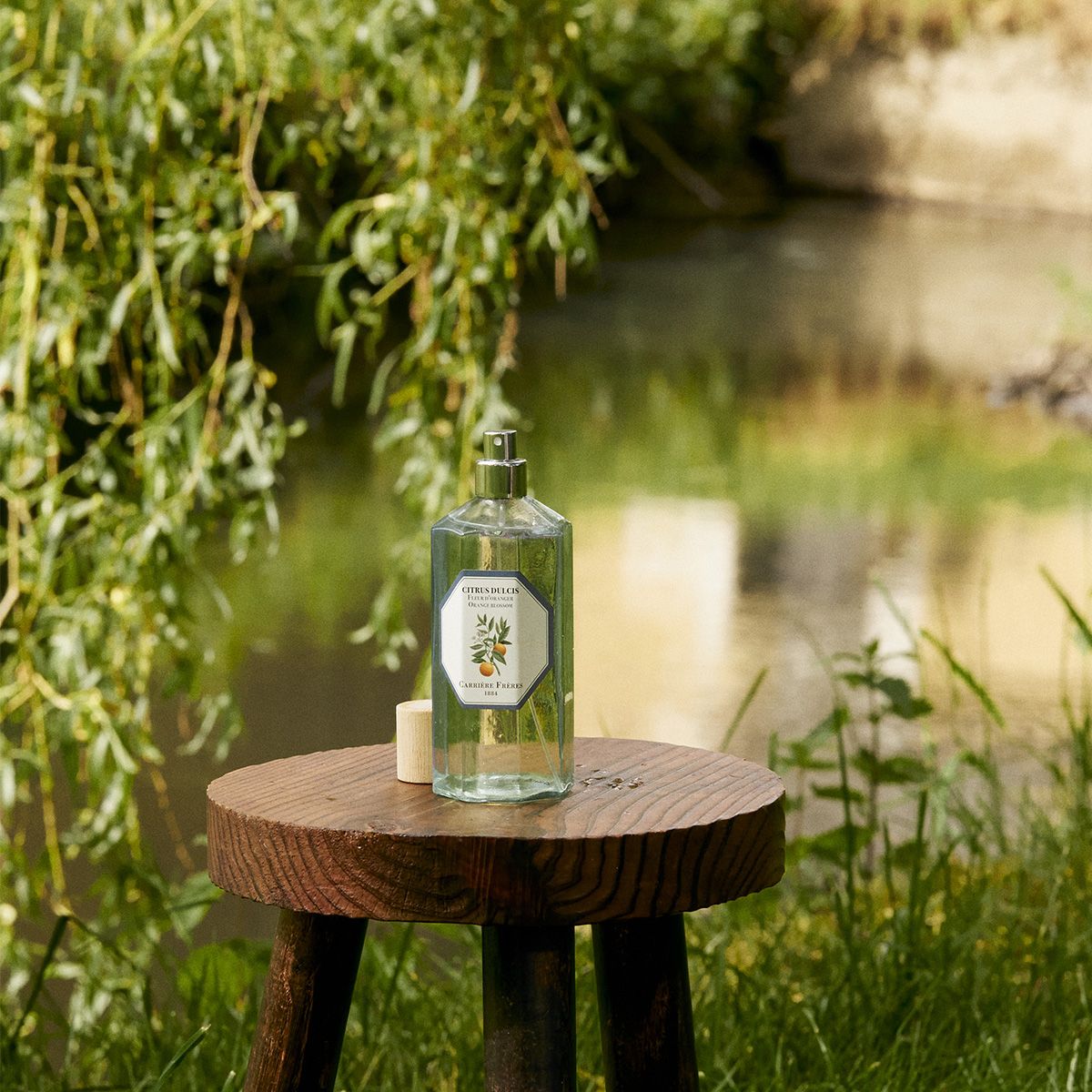 Orange Blossom Room Spray by at The Little Dispensary Specialist Pharmacy